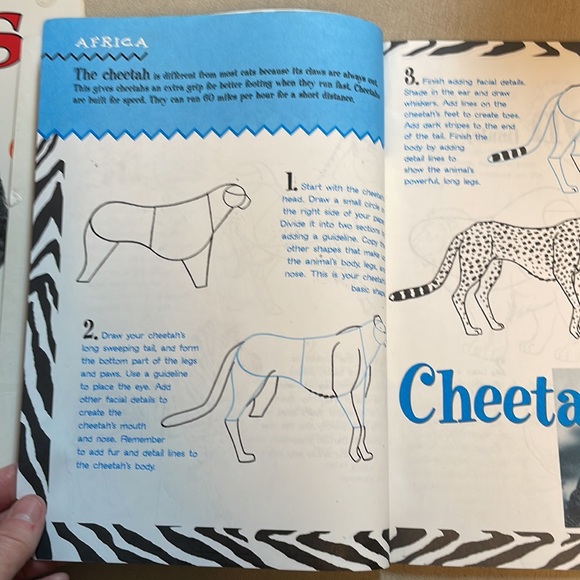 📚2/$6 2-Book Bundle Learn to Draw Animals - Picture 14 of 16